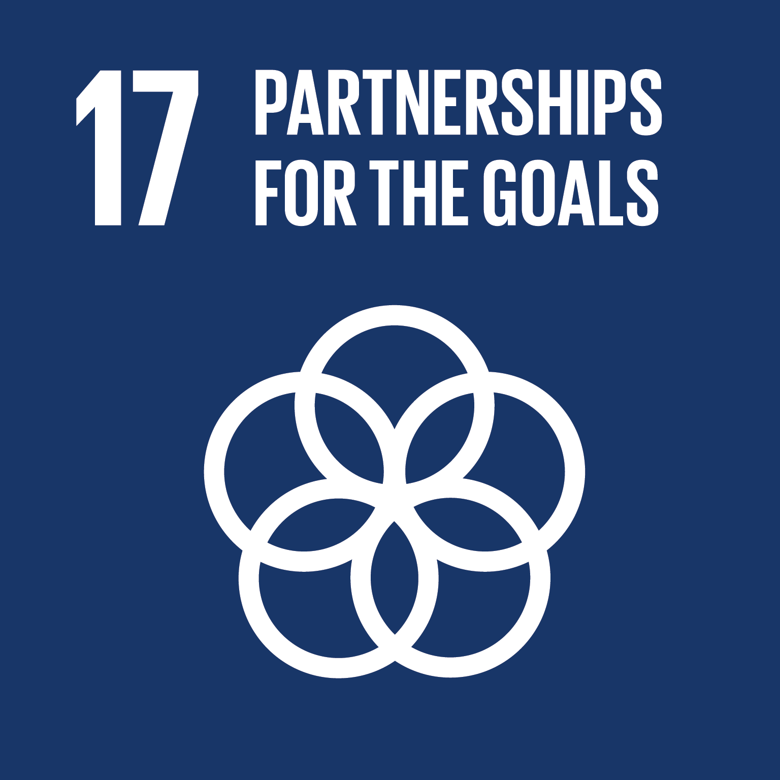 South-South Cooperation for Advancing the 2030 Agenda: A study in Barbados and Jamaica